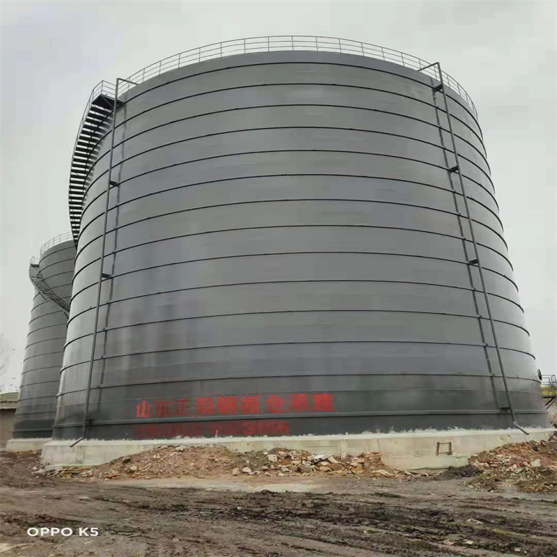 中兴镇3万吨大型钢板库