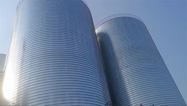 中兴镇2座混凝土高架卷板仓